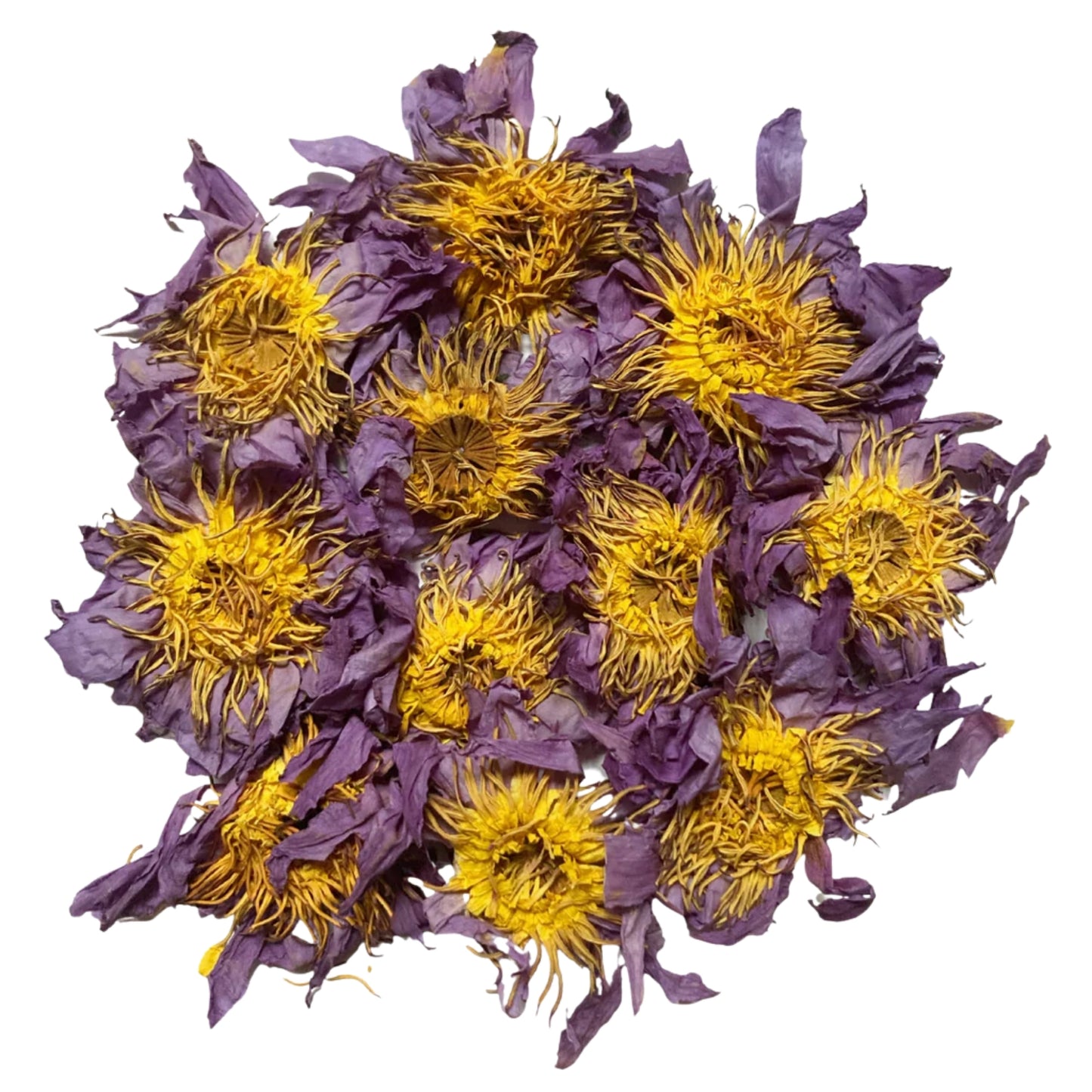 Ransaru Wildcrafted Dehydrated Blue Lotus (Nymphaea Nouchali) Flower Pack