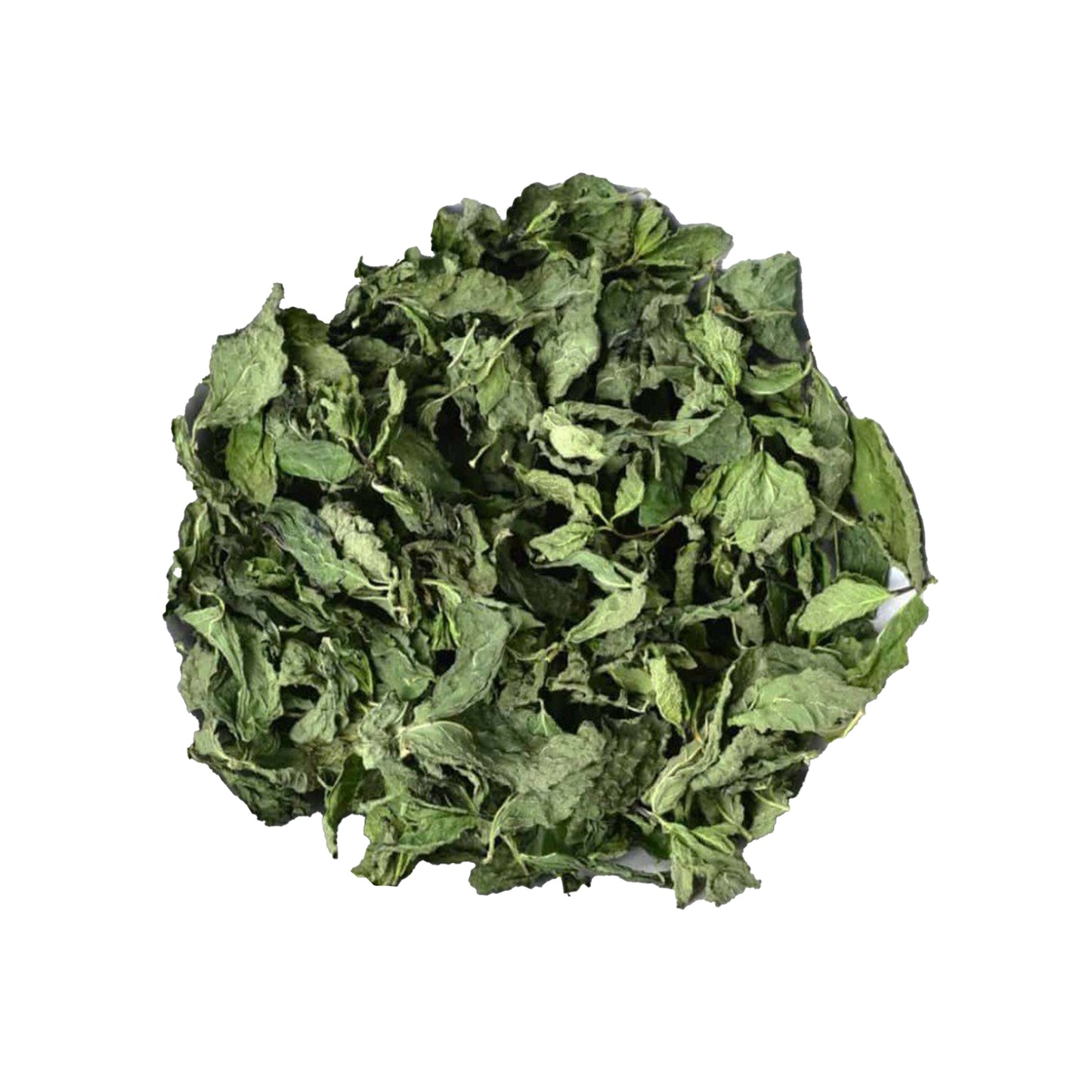 ラクプラ脱水焼きナラン (アタランティア・セイラニカ) の葉をつぶしたもの