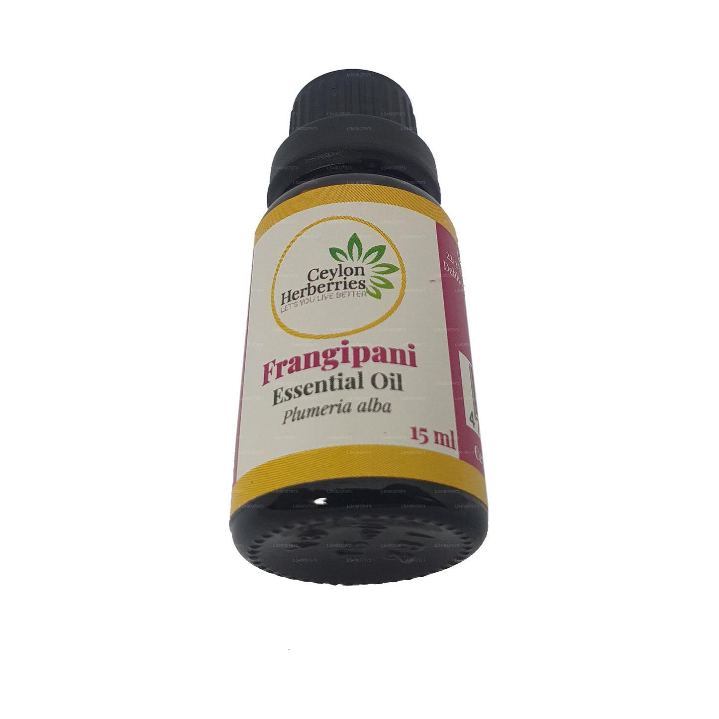 セイロンハーベリーフランジパニエッセンシャルオイル (プルメリアアルバ) 15ml