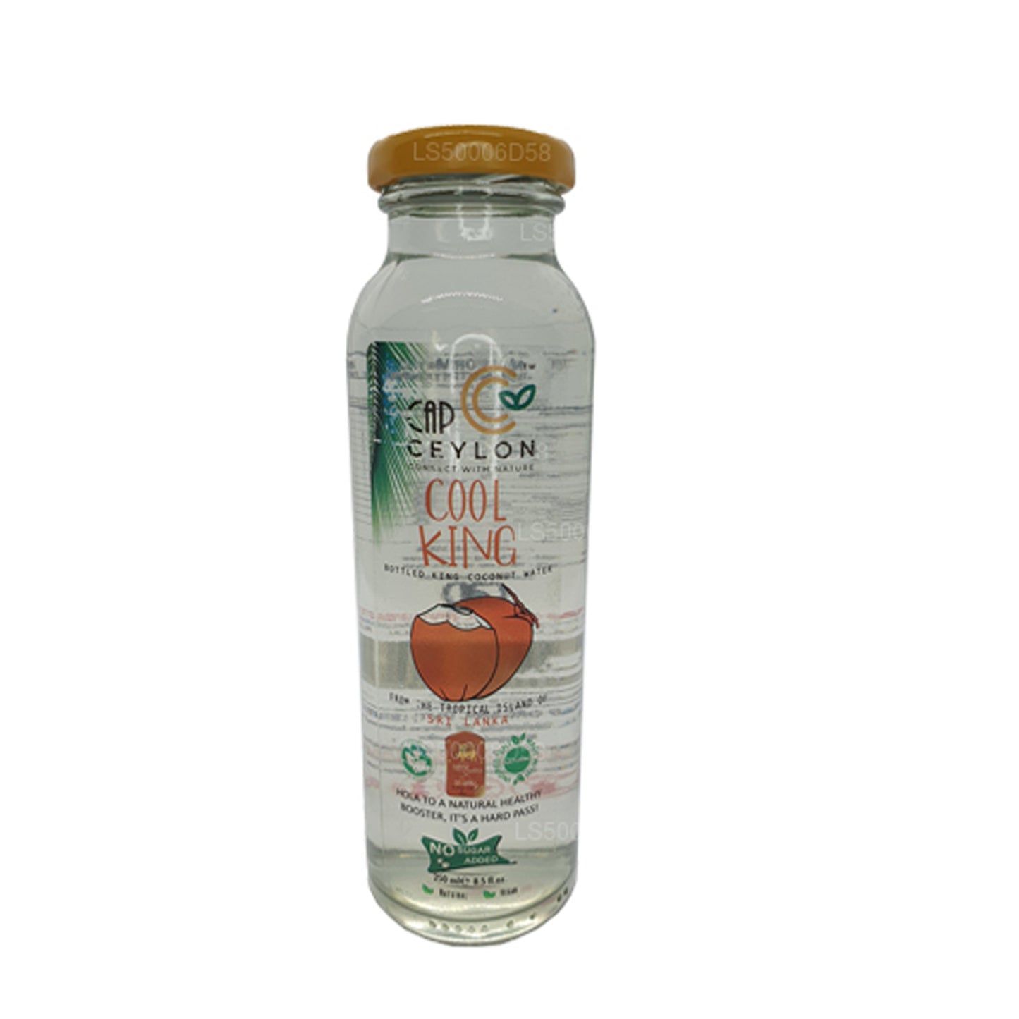 ラックプラクールキング (250ml)