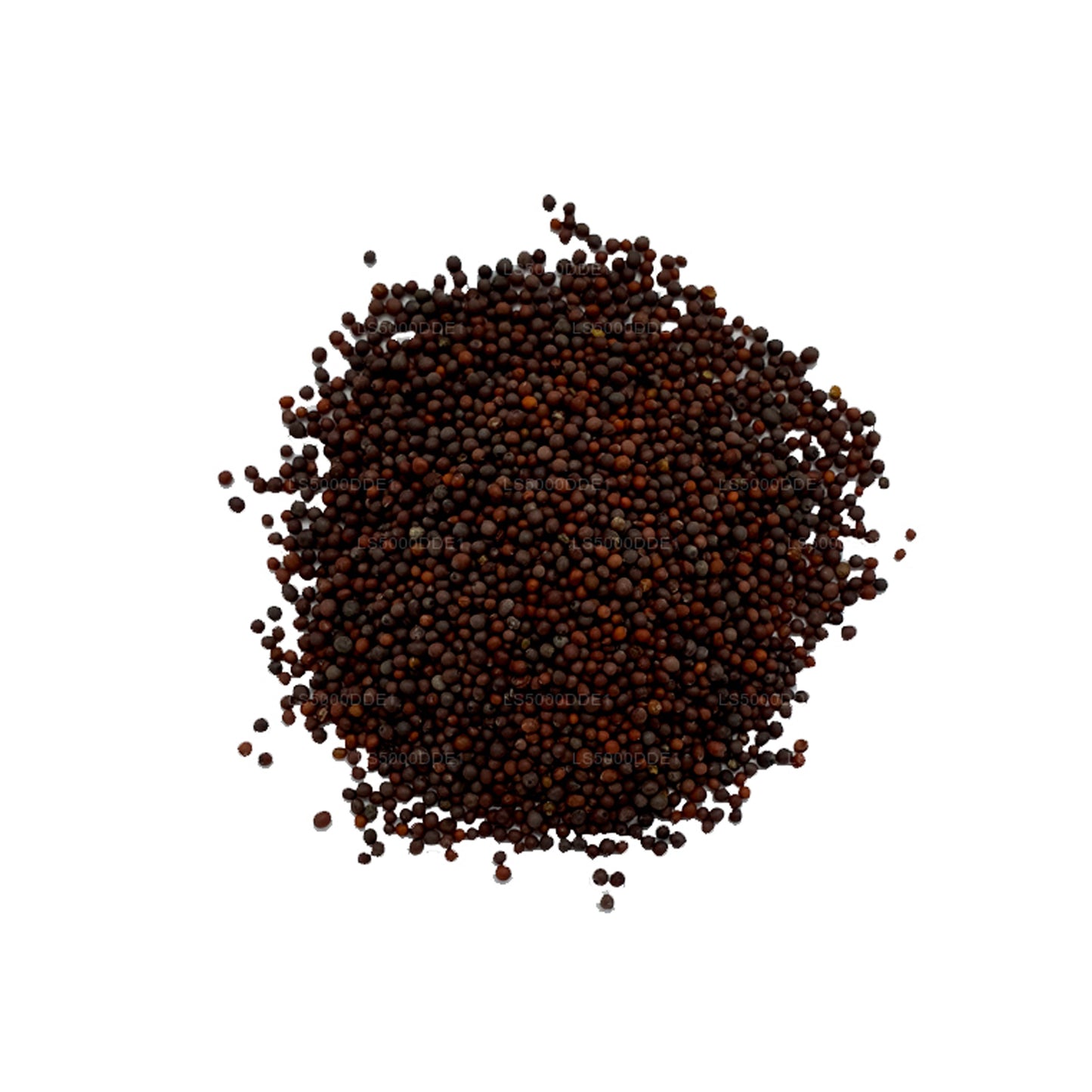 ラクプラマスタードシード (100g)