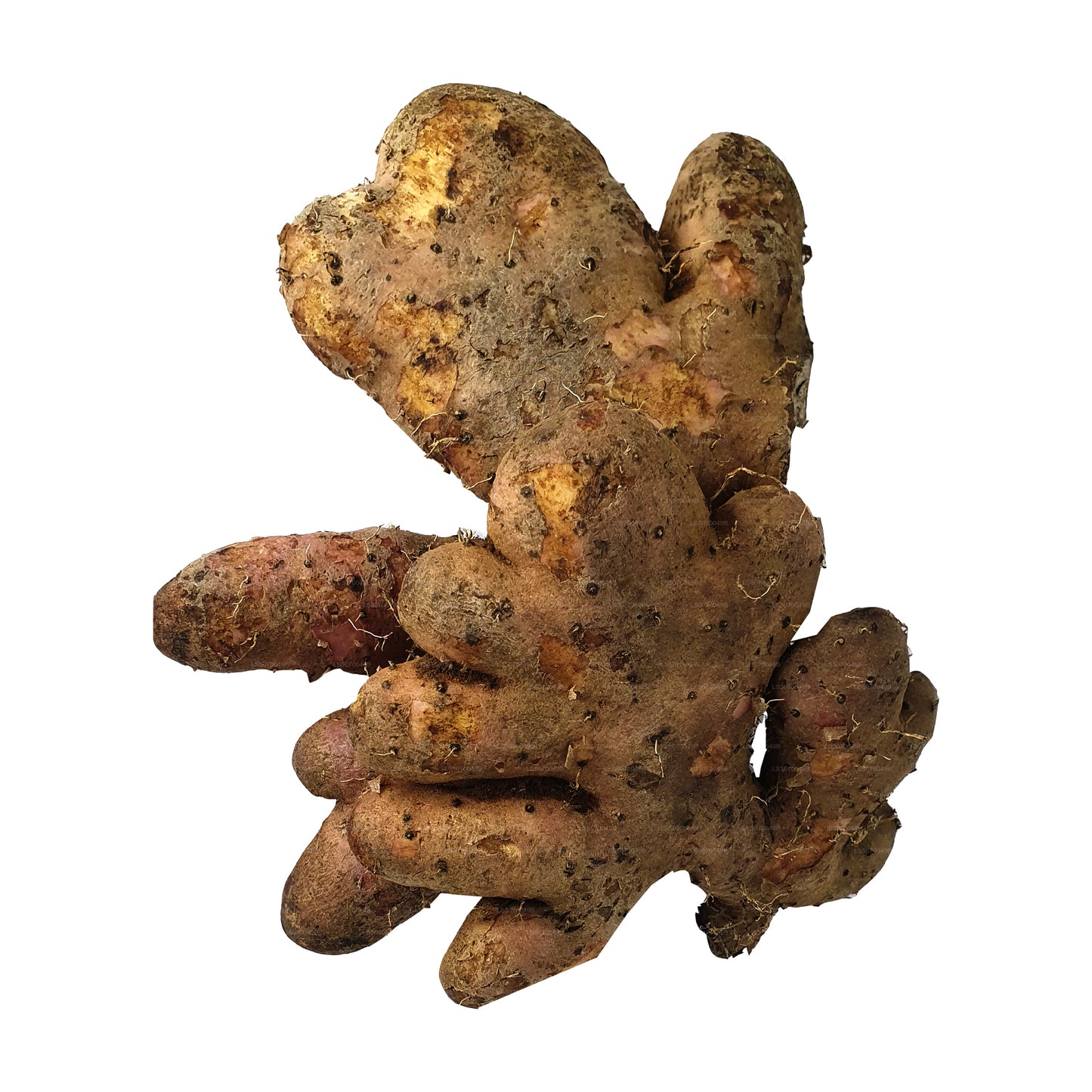 ラクプラヒンガラヤム