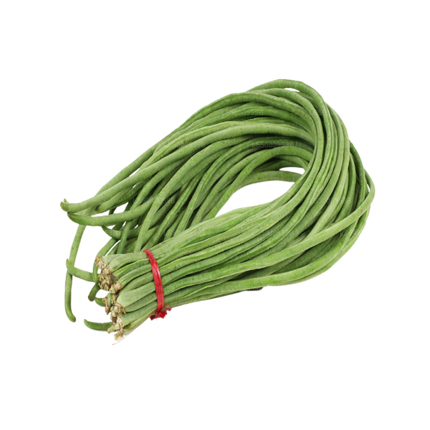 長豆 - මෑකරල් (500g)