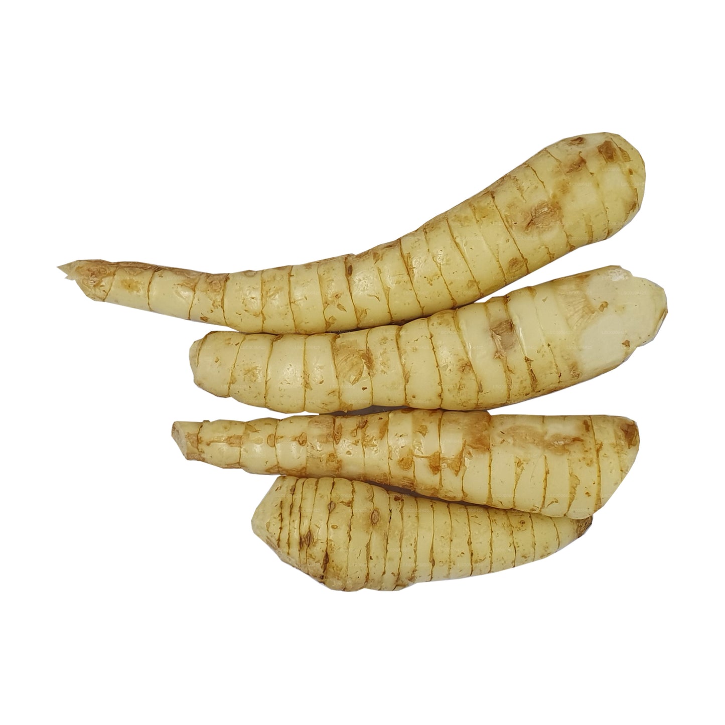 ラックプラ フランキーリヤ (アルウッカ) (1Kg)