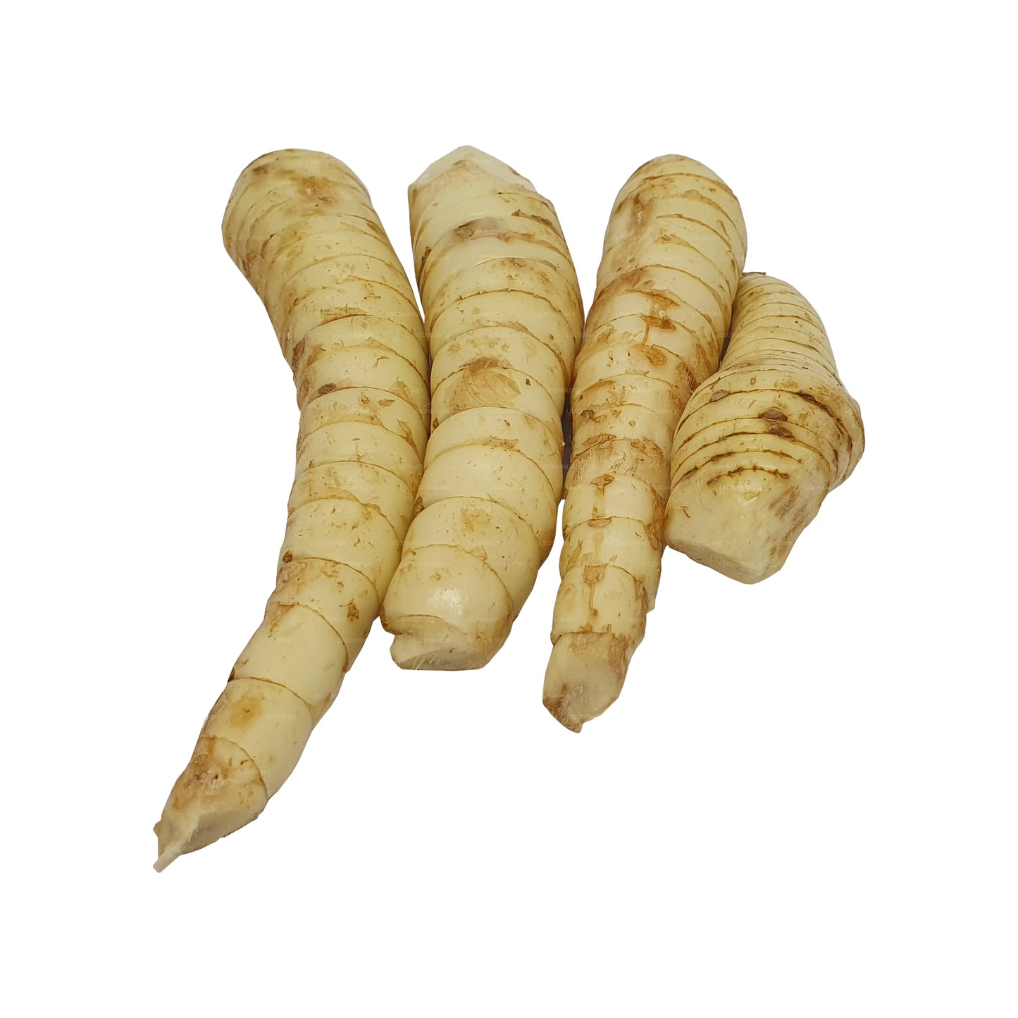 ラックプラ フランキーリヤ (アルウッカ) (1Kg)