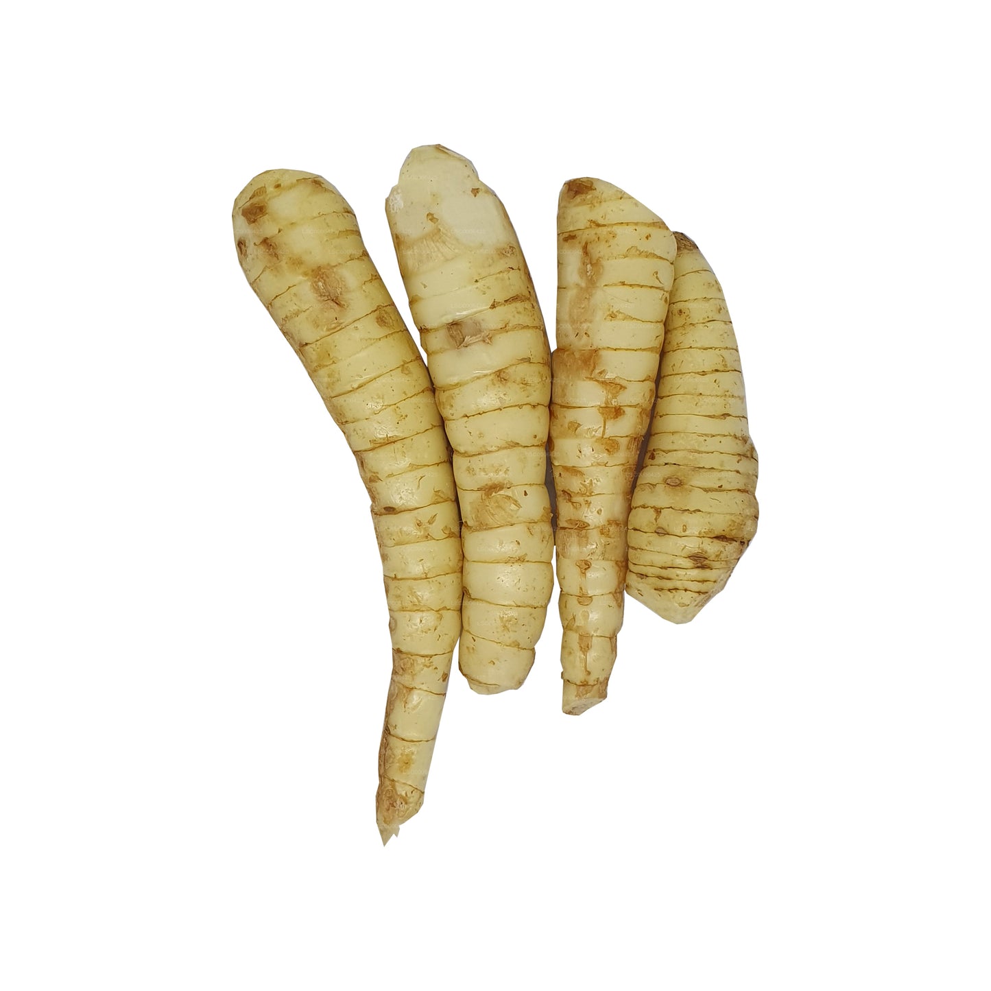 ラックプラ フランキーリヤ (アルウッカ) (1Kg)