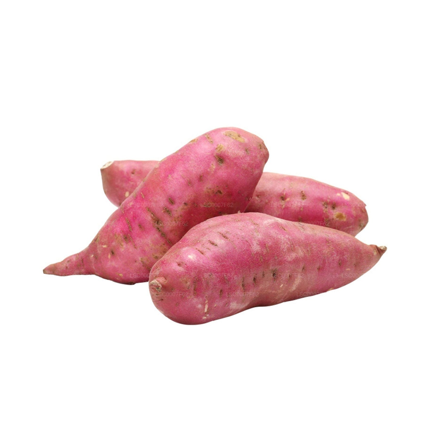 ラクプラ®サツマイモ(バタラ種)