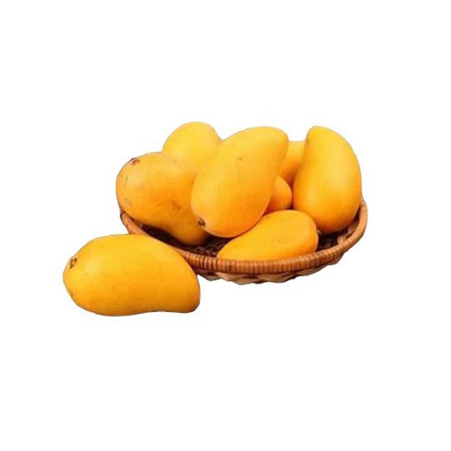 タイのマンゴー – ギラ (තායි ගිරා අඹ) 果樹