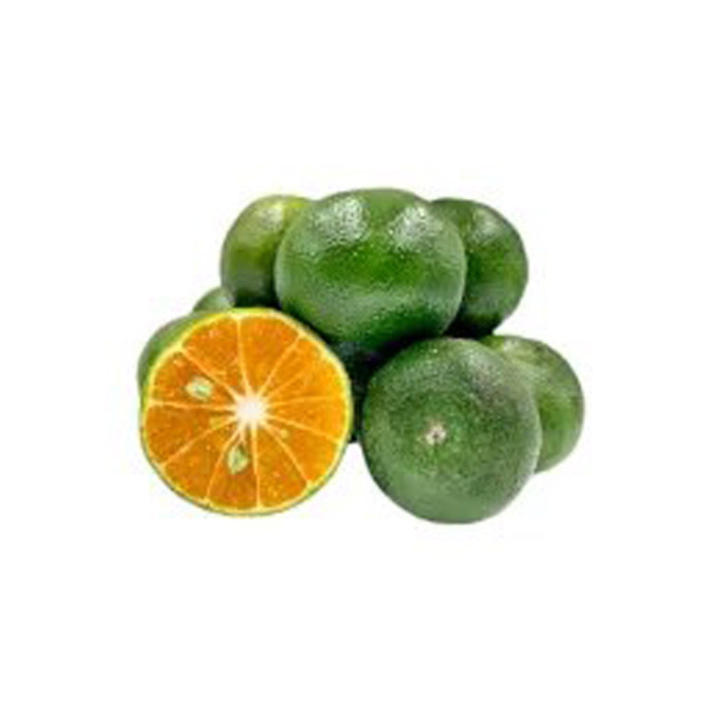 ラクプラ・ナズ・ナラン・グラフト・プラント