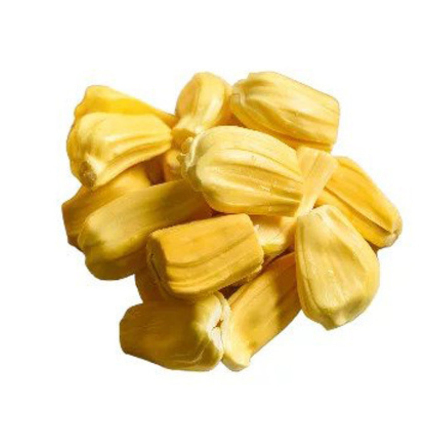 マンドア ジャックフルーツ (මණ්ඩූර් කොස් බද්ධ) 果樹