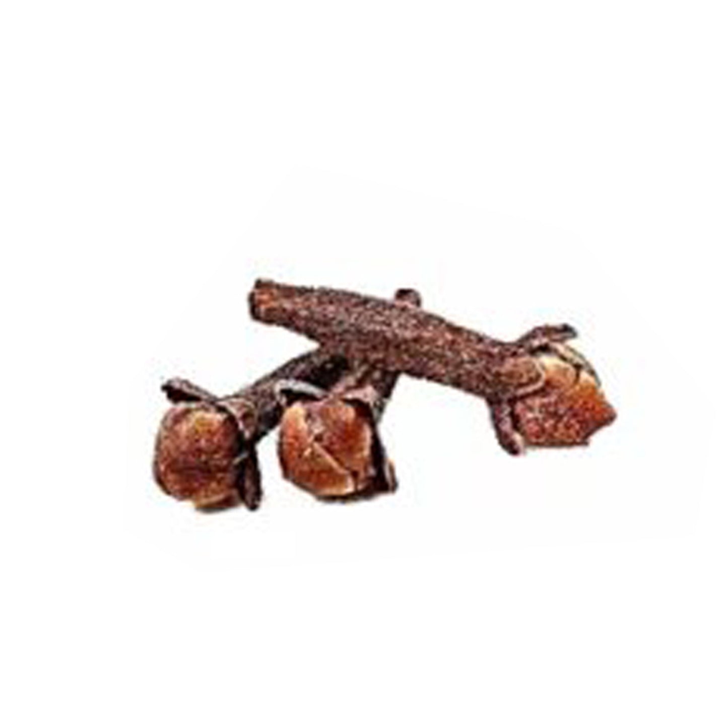 クローブ (කරාබුනැටි) スパイス植物