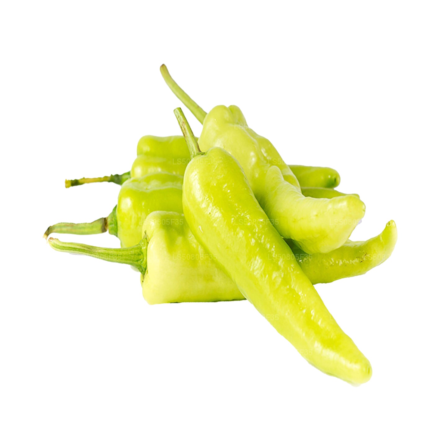 <p>(SKU: LSZ0073772) カプシクム (500g)</p>