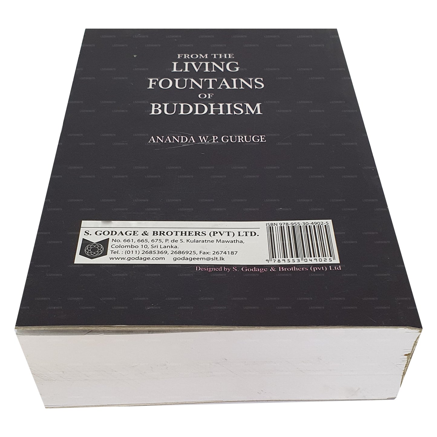 「仏教の生きた泉」より