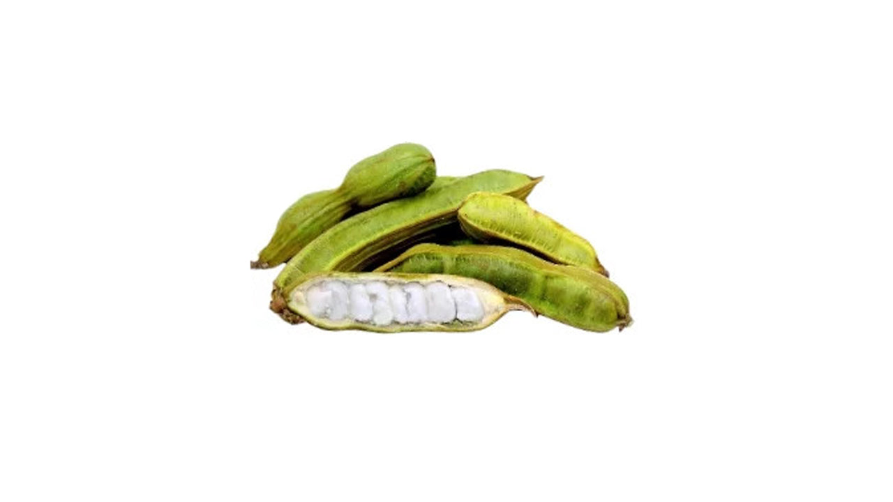 アイスクリームフルーツ (අයිස් ක්රීම් පළතුර බද්ධ) 果物植物