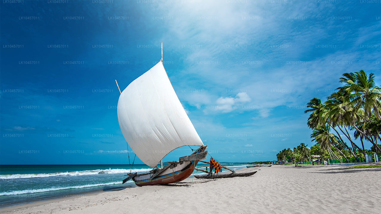 ビーチ&ザ・シティ(4日間)