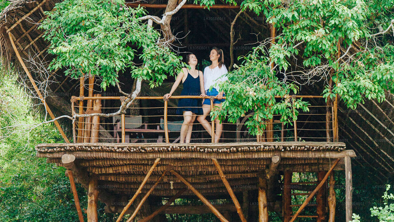 スリランカのエコツアー(5日間)