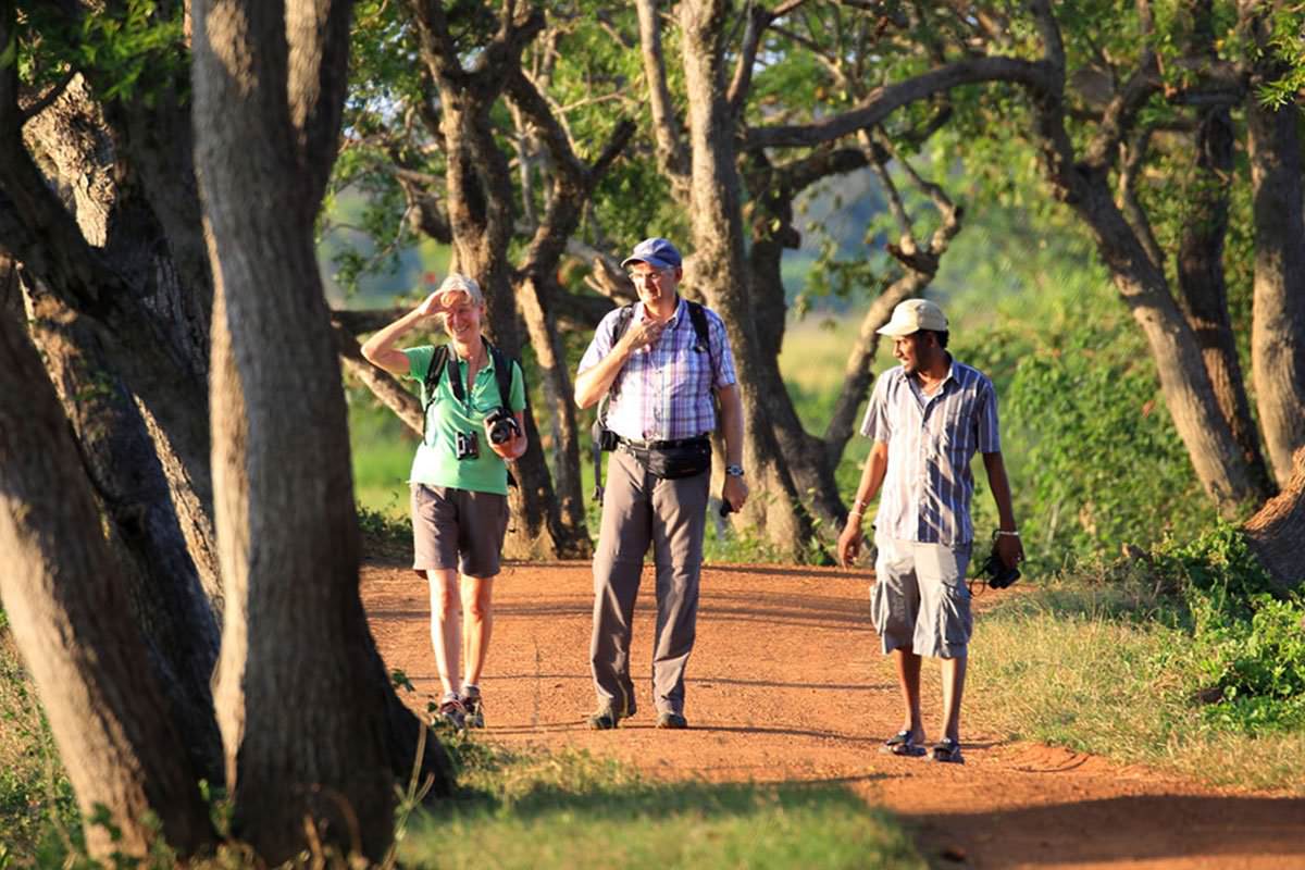 鳥類と哺乳類を巡る野生動物ツアー (6 日間)