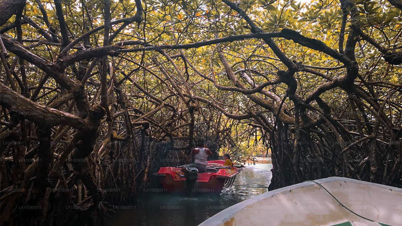 ПУТЕШЕСТВИЕ ВОКРУГ ЦЕЙЛОНА (13 日)