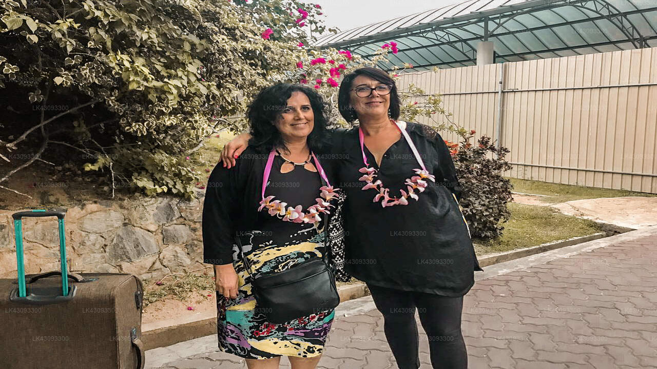 コロンボ空港 (CMB) とタンガラのパラダイス コーブ ヴィラ間の送迎