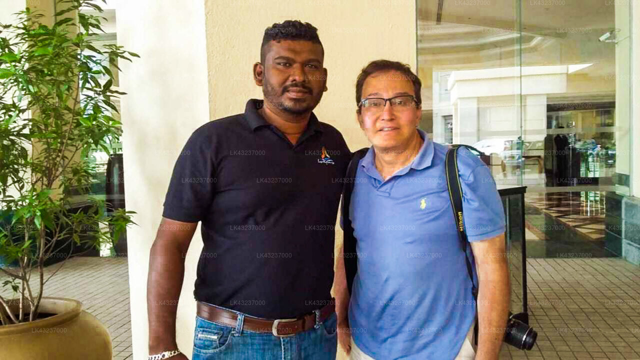 コロンボ空港 (CMB) とベリフロヤのマウント フィールド リゾート間の送迎