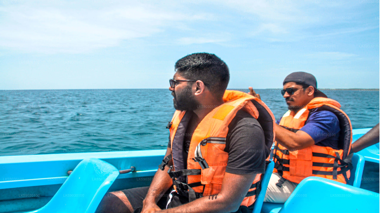 ベントータ発深海釣りボートツアー