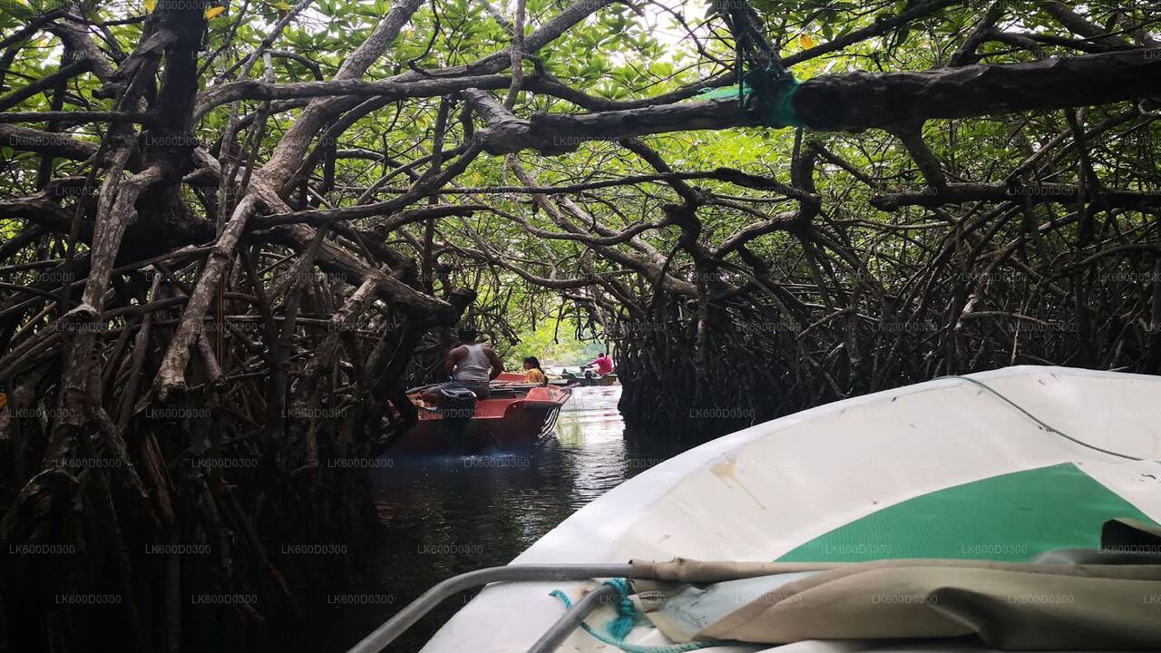 ベントータからゴールへの海岸沿いドライブ