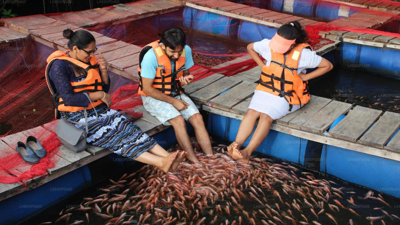 ゴール発ベントータシティツアー