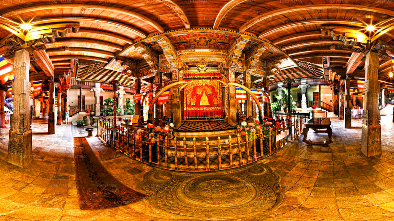 キャンディ発テンプル ラン ツアー