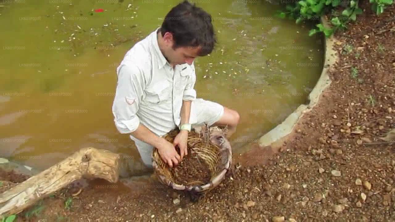 ネゴンボからラトゥナプラの宝石鉱山を探索