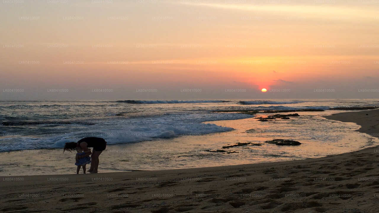 ウナワトゥナの南海岸のハイライト
