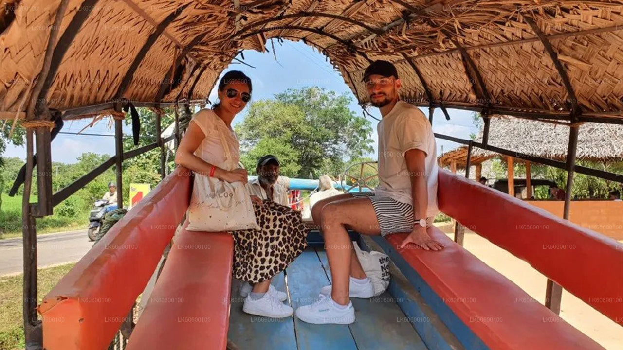 ニラガマ発村ツアー