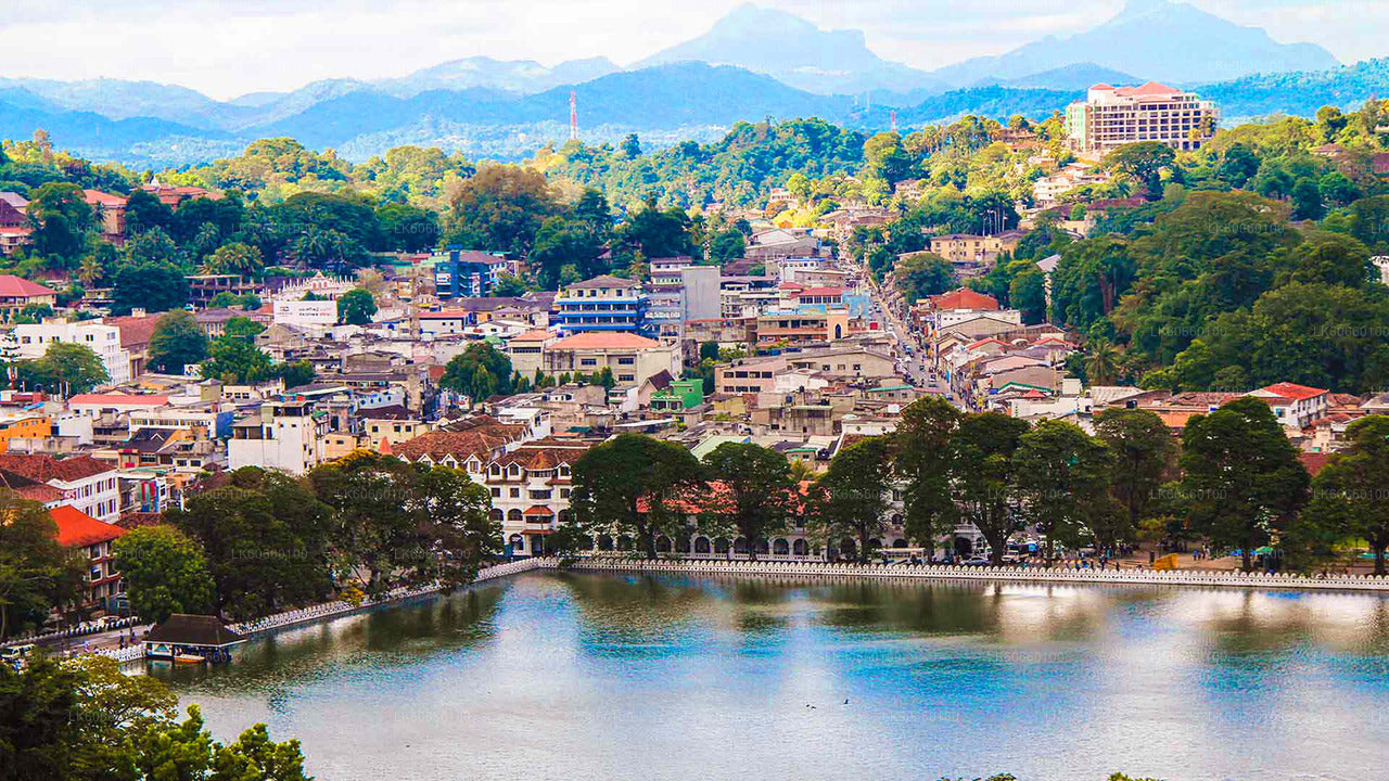 マウントラビニア発キャンディ市内ツアー