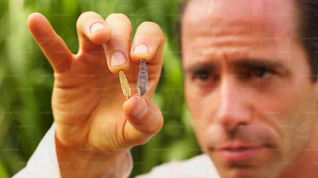 マウント・ラビニアからラトナプラの宝石鉱山を探検