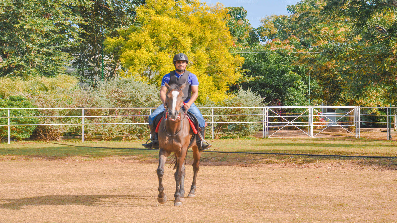 シギリヤ発の初心者向け乗馬