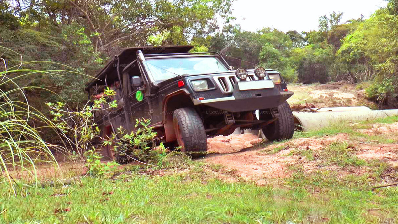 エラ発、エラの象徴的な橋を巡る 4WD ツアー