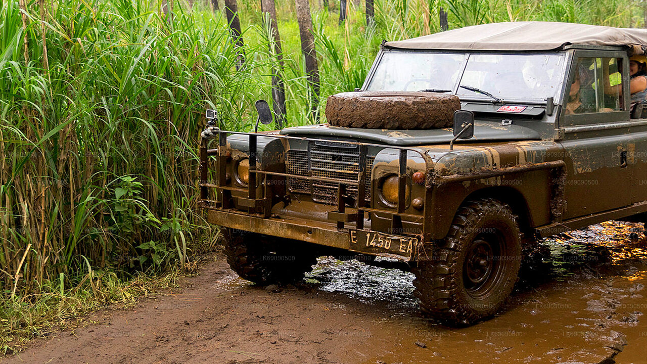 エラ発リプトンズ シート ビュー ポイントへの 4WD ツアー