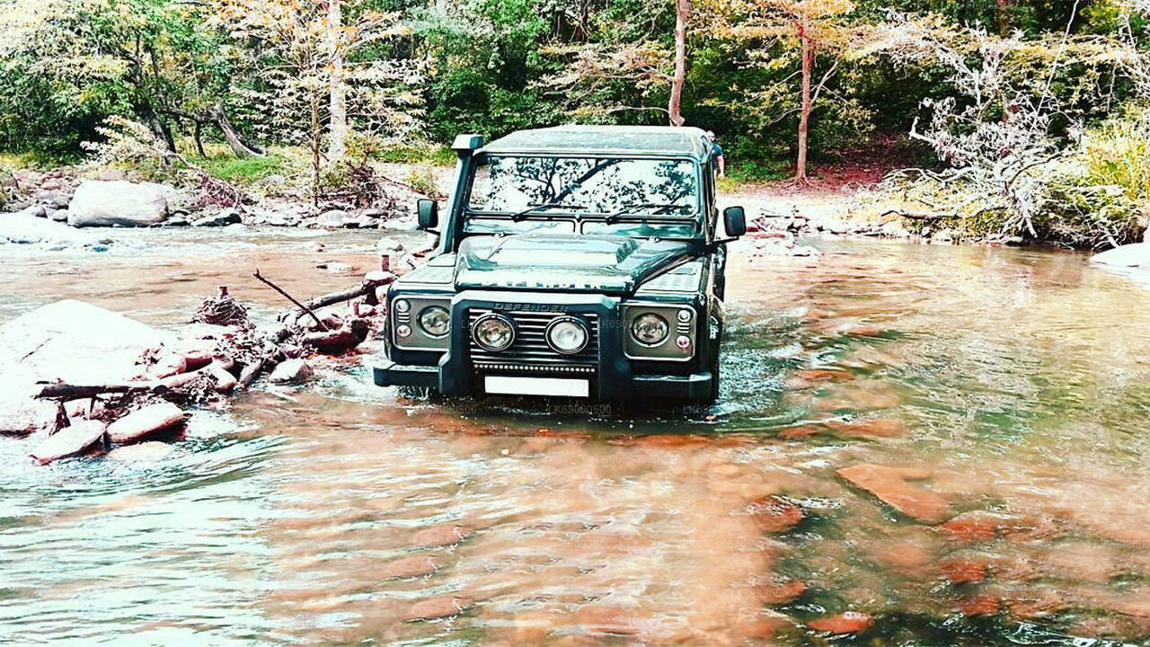 エラ発リプトンズ シート ビュー ポイントへの 4WD ツアー