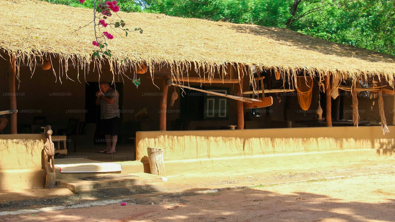 ハバラナのマッドサファリ