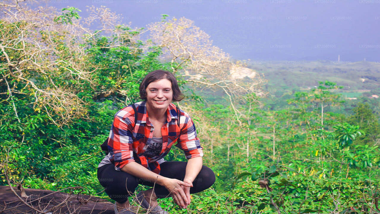 マウントラビニアからのフォレストロッククライミング