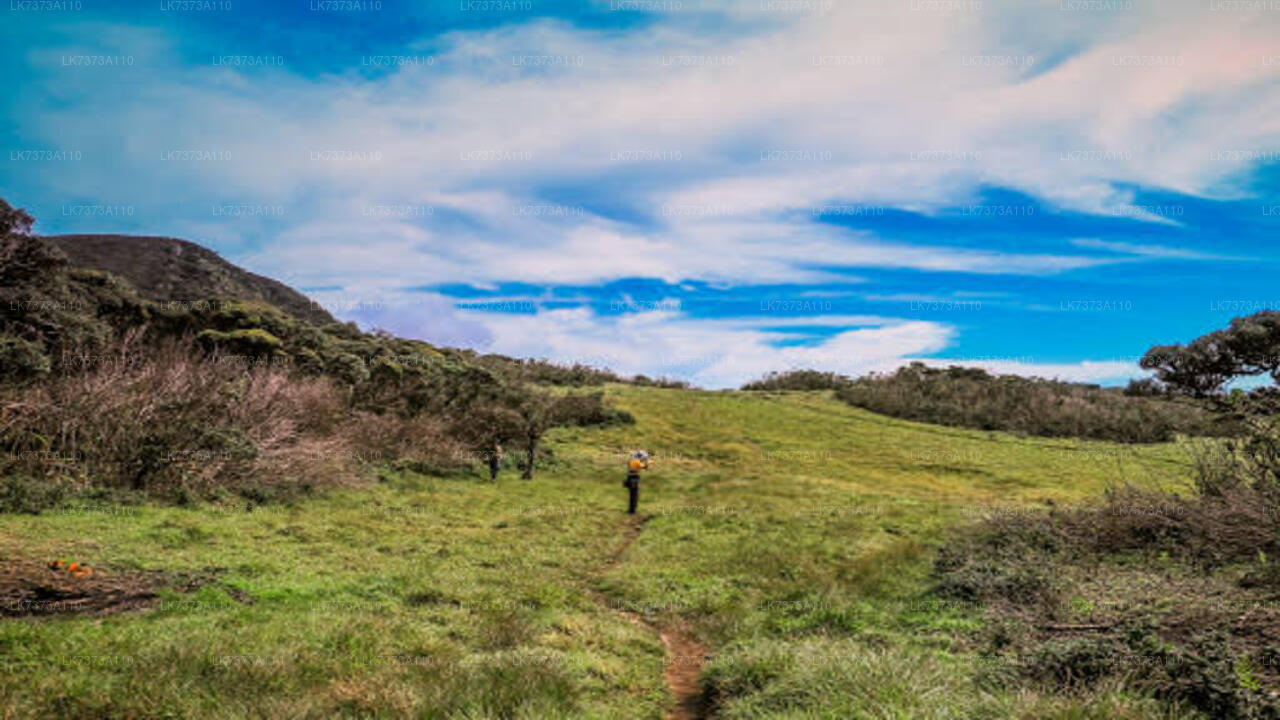 ランボーダからのキャンプ