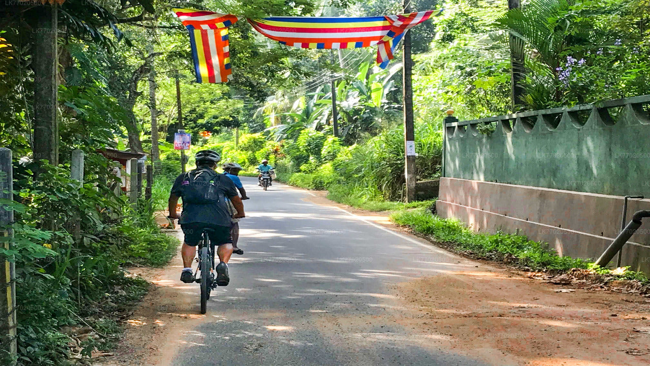 3 キャンディ発テンプルループサイクリングツアー