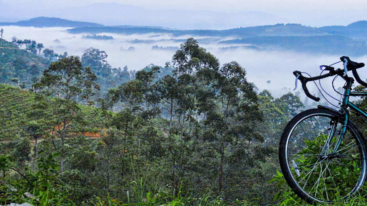 ハプタレーからリプトンシートまでサイクリング