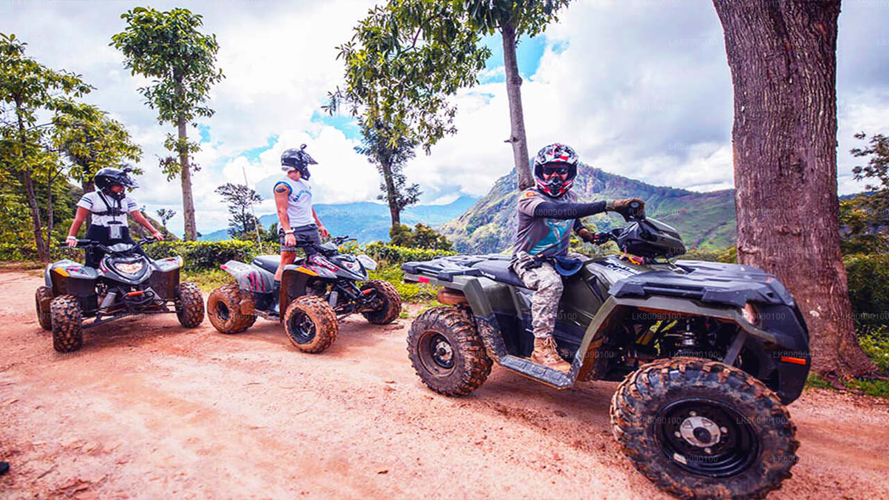 エラの ATV アドベンチャー