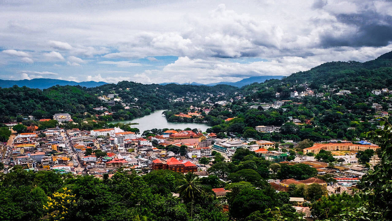 コロンボ発ヘリコプターでキャンディを発見