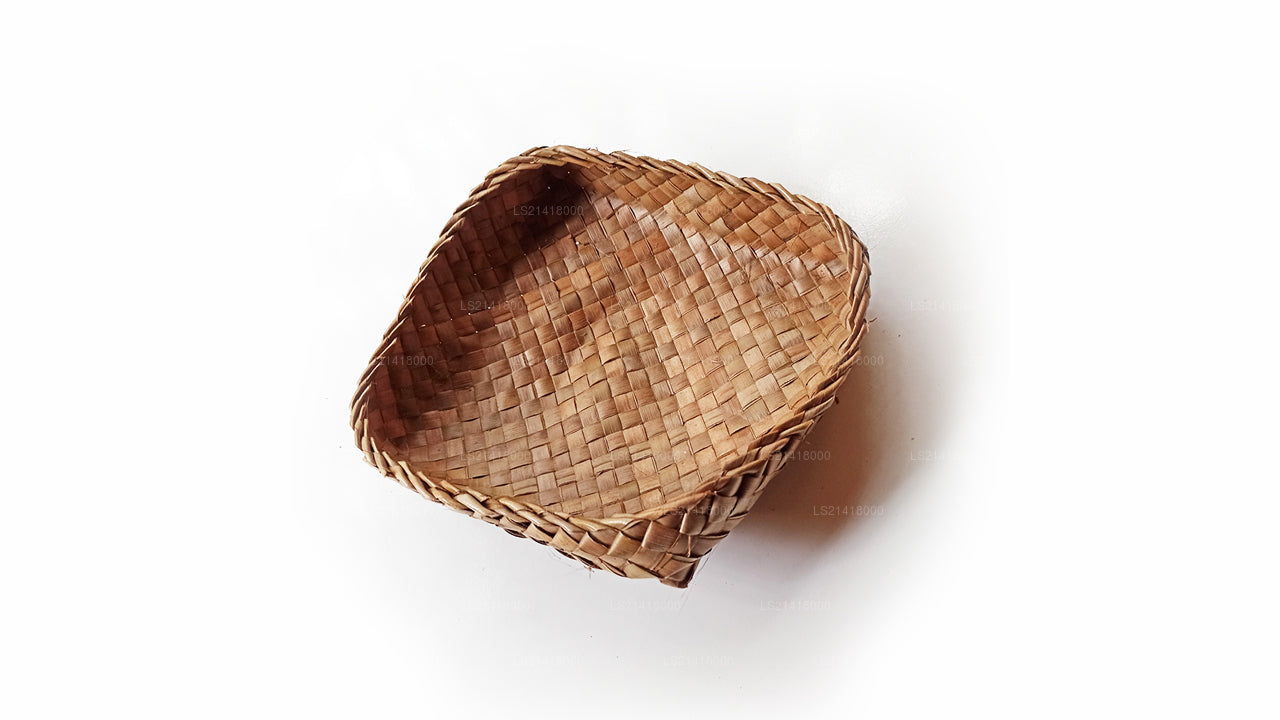ラクプラココナッツリーフワッティ (20cm)