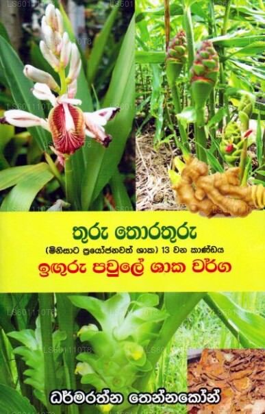 トゥル・トラトゥル 13 ワナ・カンダヤ