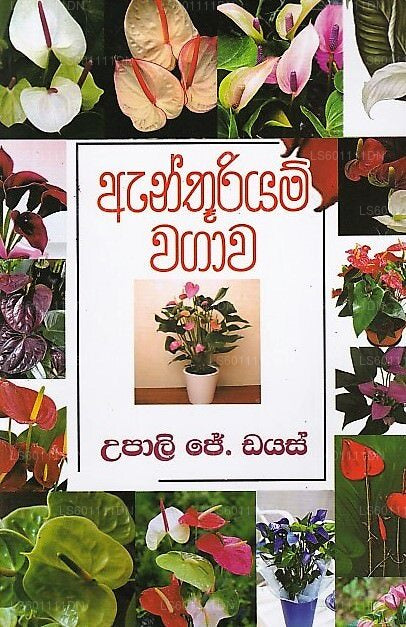 アンスリヤム・ワガワ