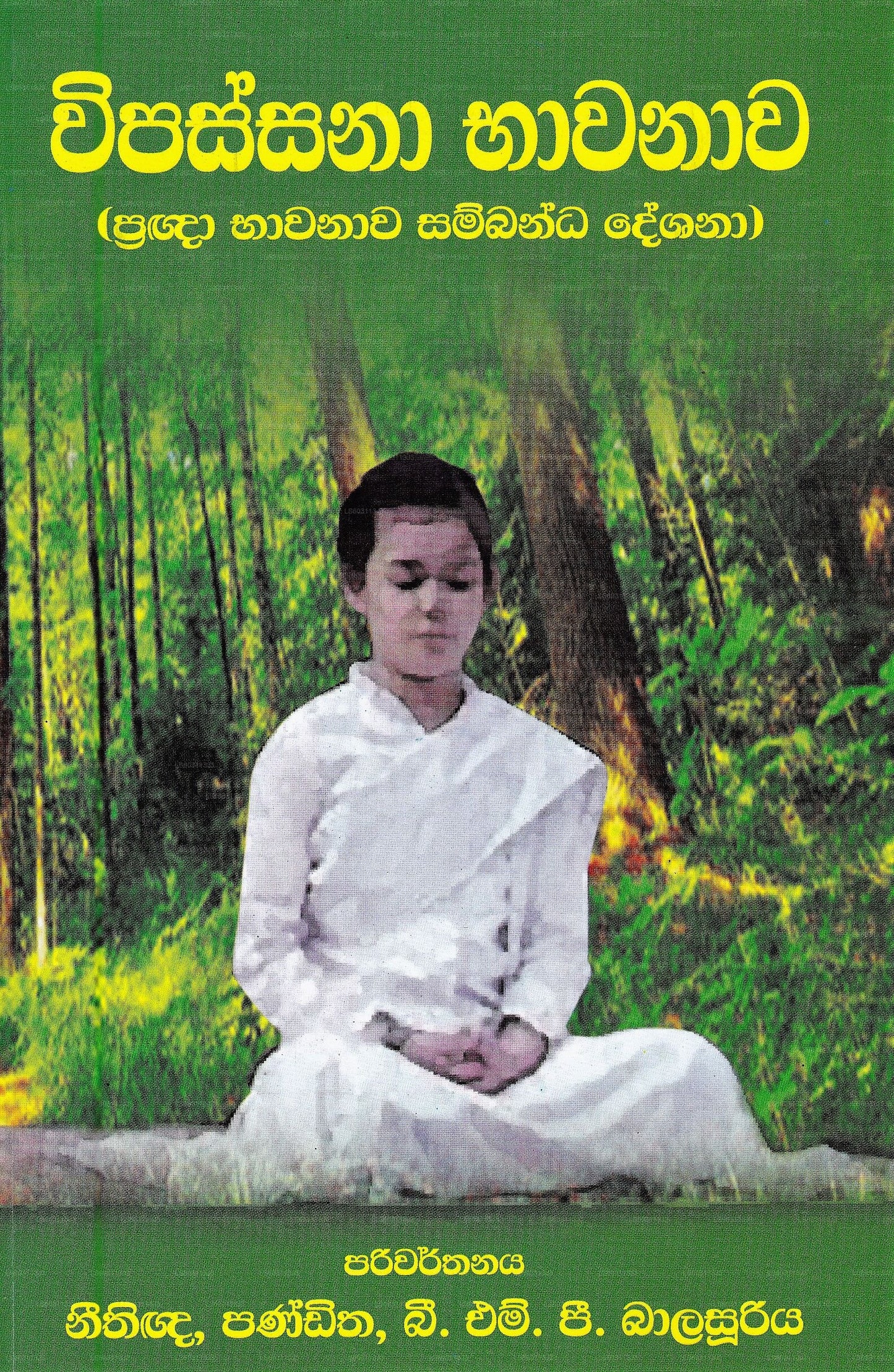 ヴィパッサナー バワナワ (プラグナ バワナワ サンバンダ デシャーナ)