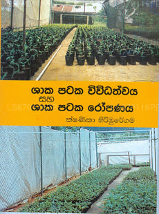 シャカ パタカ ウィウィダスワヤ サハ シャカ パタカ ルーパナヤ