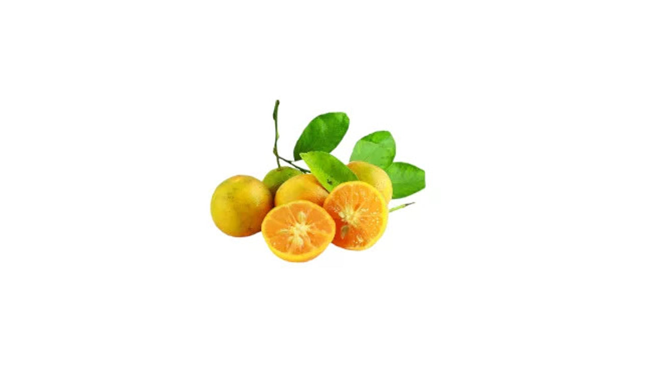 セイロン ジャマナラン (දේශීය ජමනාරං (බද්ධ)) 果樹